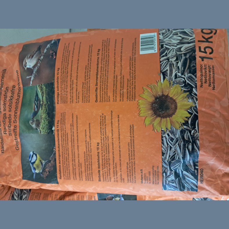 Herkules solsikkefr� med skaller