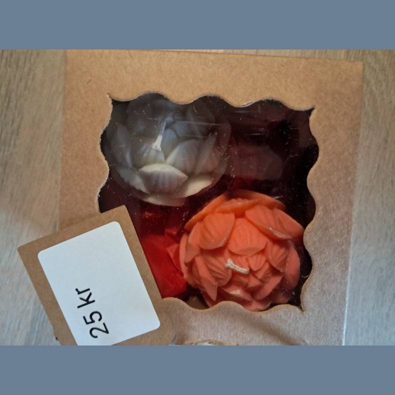 2 lysblomster i kasse